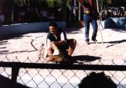 Alligator Wrestling