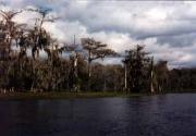 Fountain of Youth - Wakulla Springs