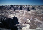 painted dessert