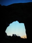 Pine Tree Arch